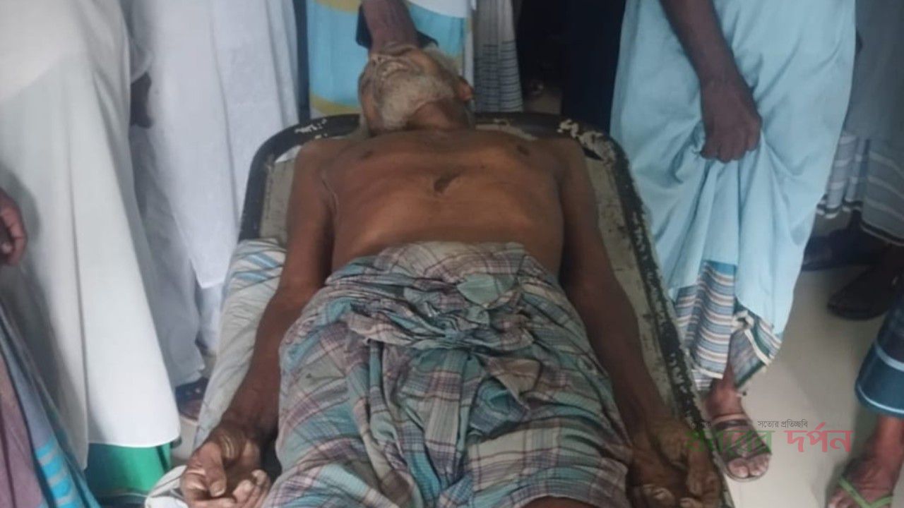 গাছের ডাল কাটতে গিয়ে বিদ্যুৎস্পৃষ্টে প্রাণ গেল বৃদ্ধের